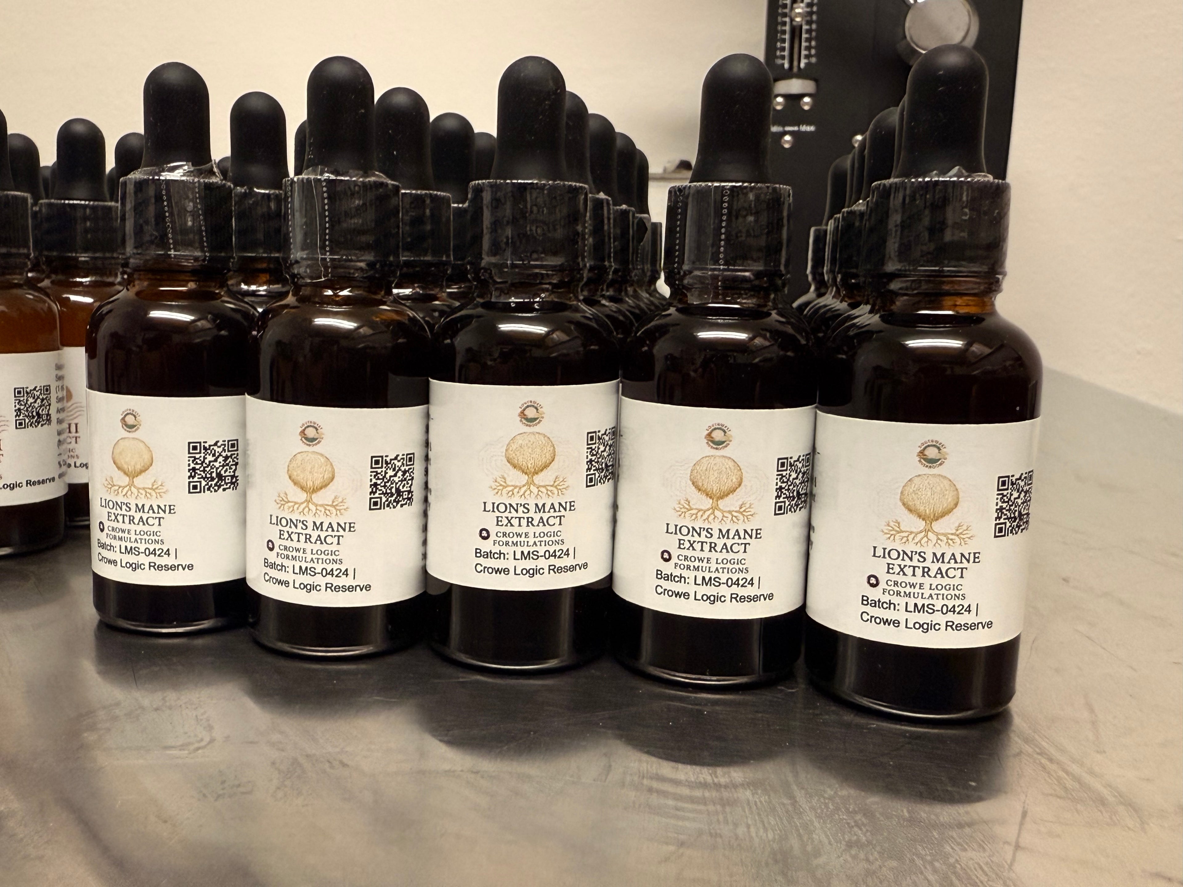 Lion’s Mane Dual-Extract Tincture – Brain & Nerve Support