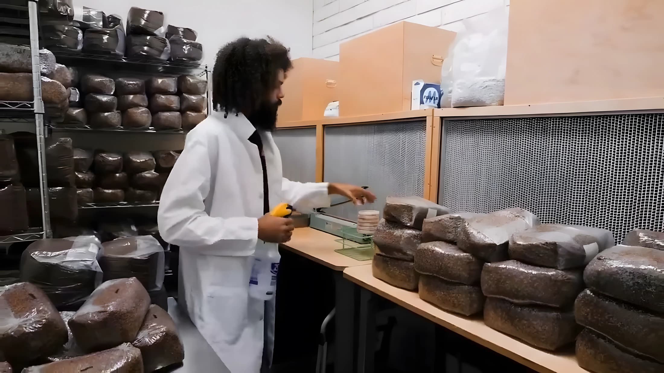 Michael Crowe, founder of Southwest Mushrooms