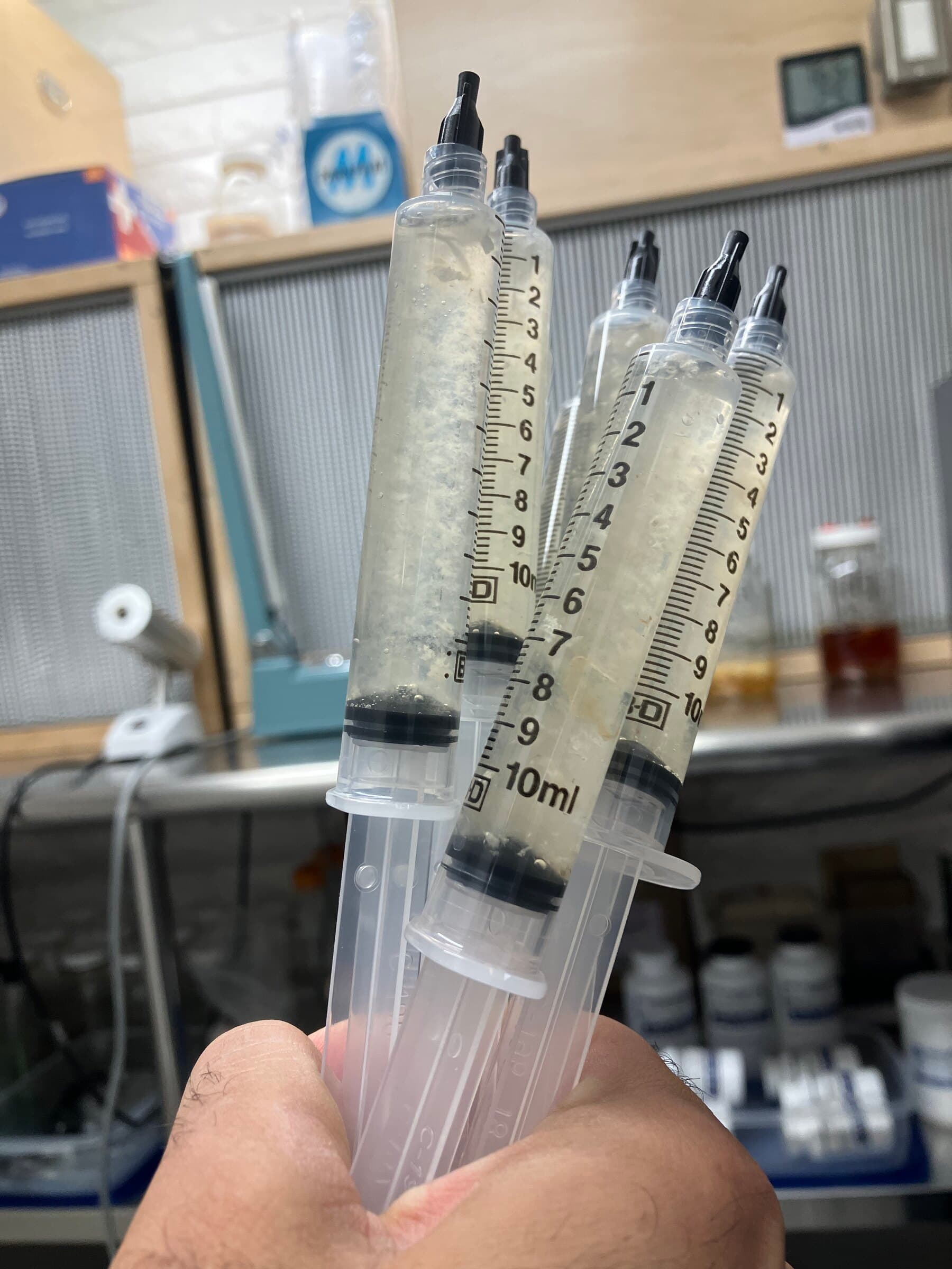 Liquid culture syringes