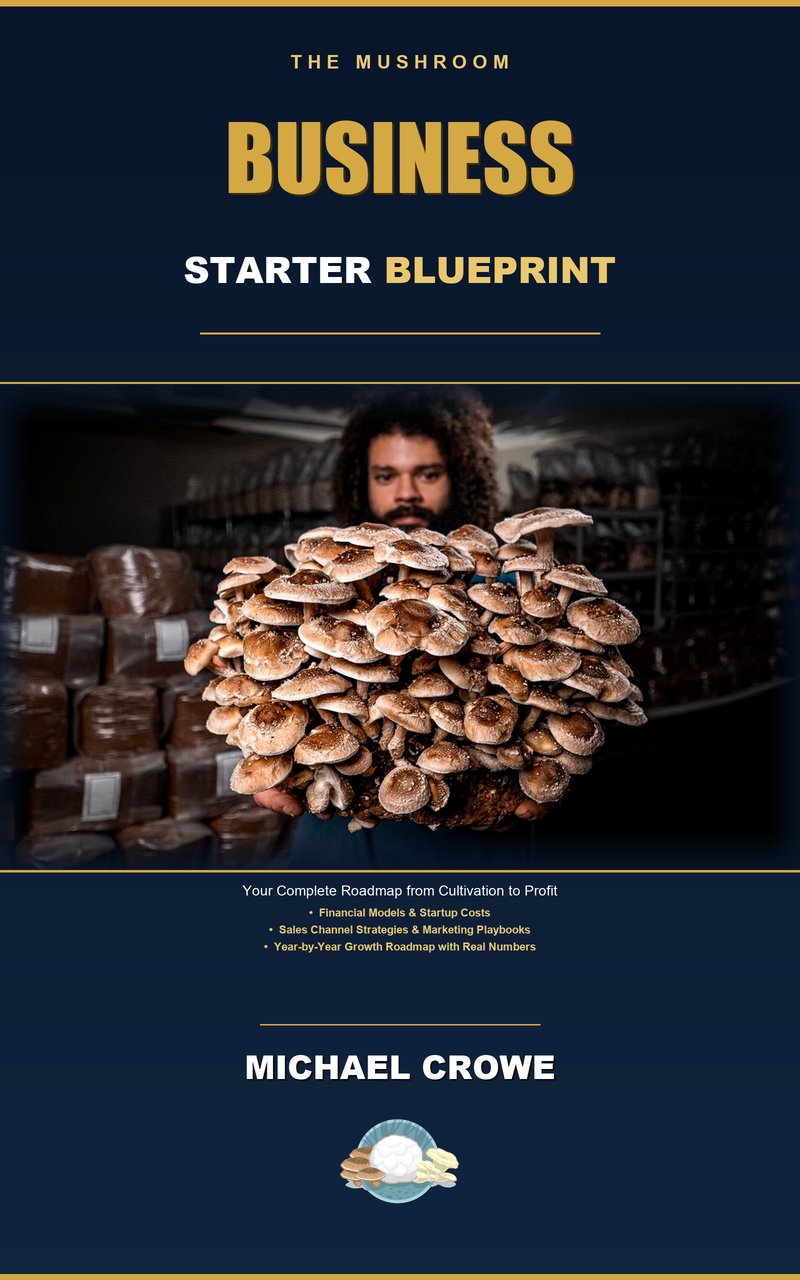 Business Starter Blueprint by Michael Crowe
