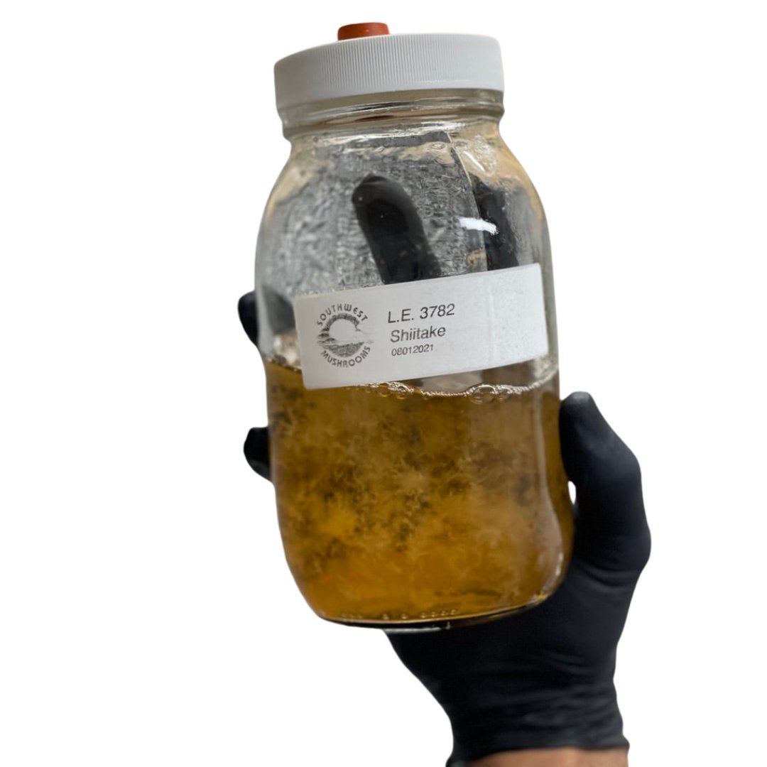Bundle | Liquid Culture Syringes – High-Viability Mycelium