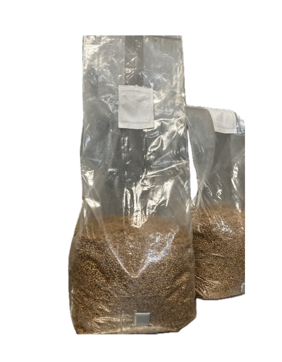 Sterile Grain and Mushroom Substrates