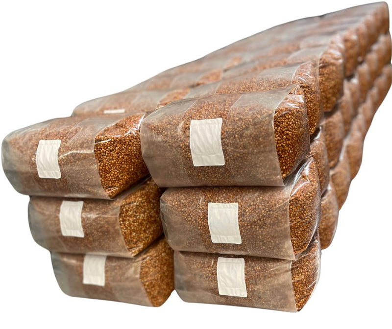 Sterilized grain spawn bags stacked