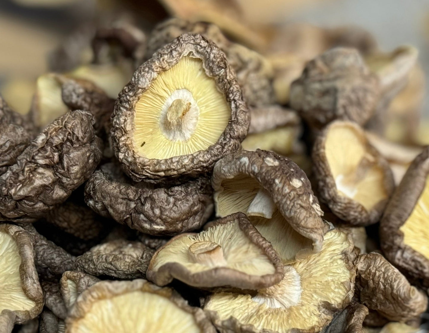 Artisanal Dried Shiitake Mushrooms