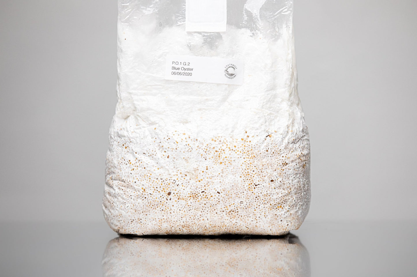 Mycelium Grain Spawn