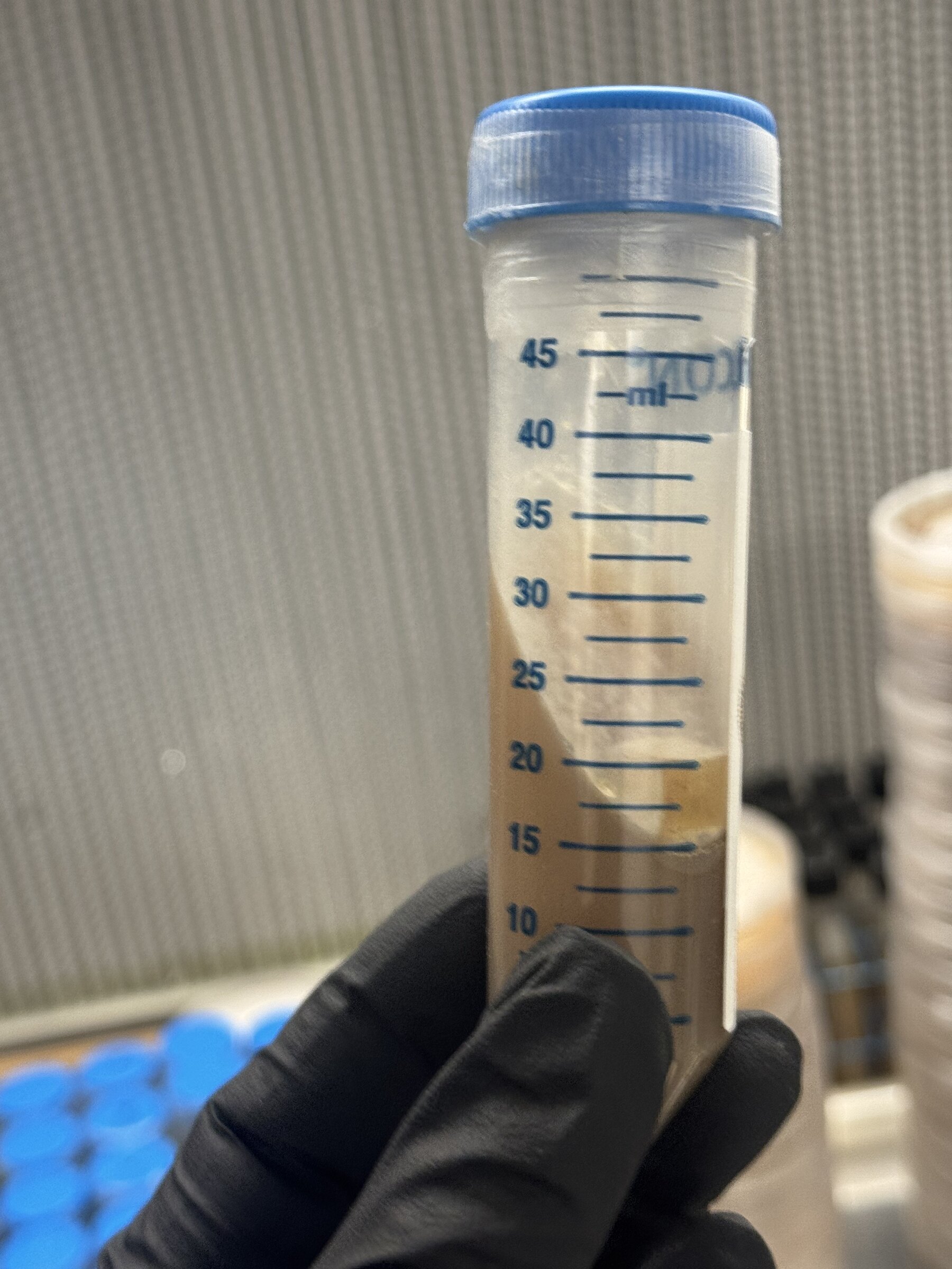 An agar slant tube held in the Southwest Mushrooms flow hood, colonised agar visible against the graduations