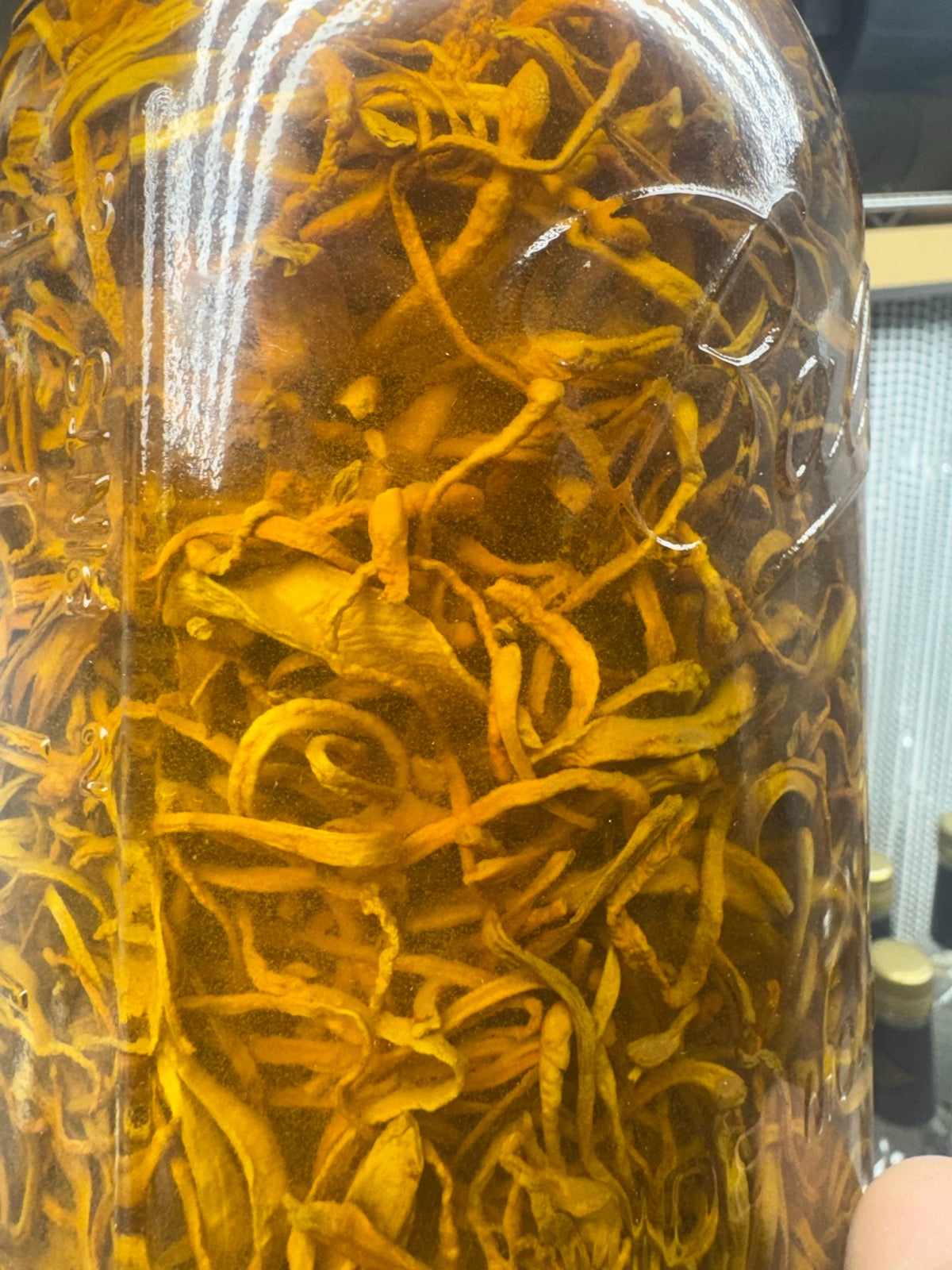 Cordyceps Performance Tincture